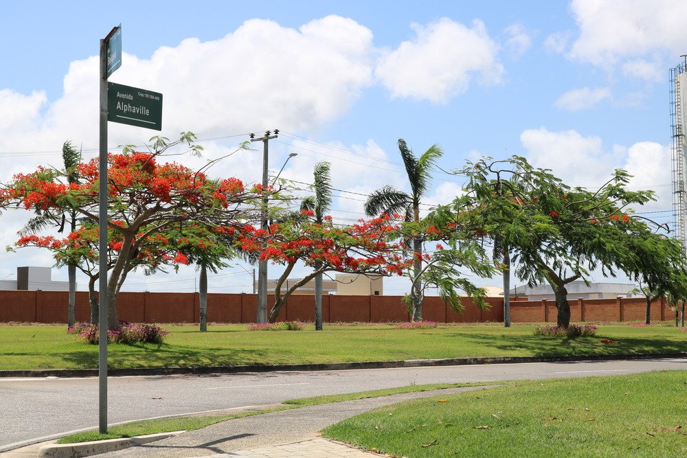 Alphaville Natal — foto 3